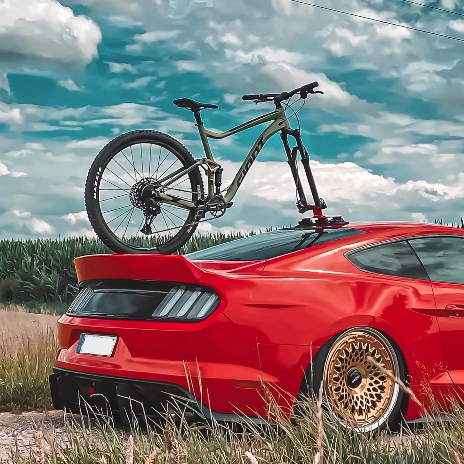 ROCKBROS suction cup bike rack mounted on car roof, quick-install heavy duty carrier for 1 to 3 bikes.
#color_red