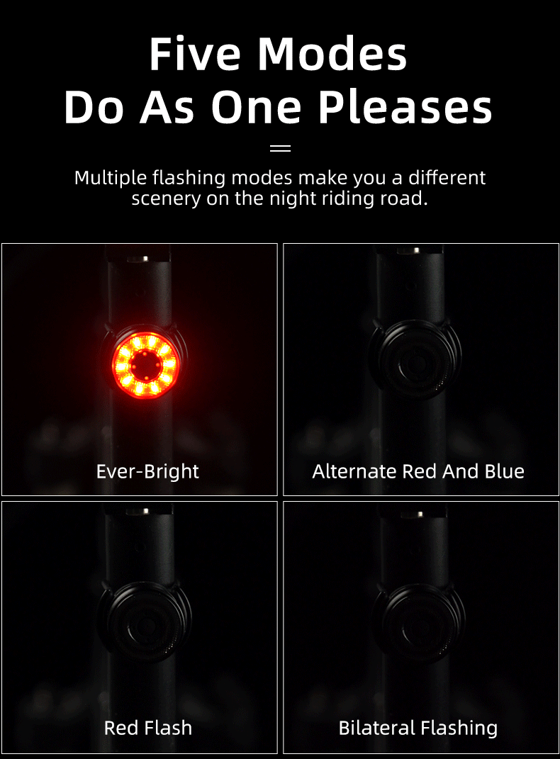 ROCKBROS Multiple Color Bike Tail Light Q1