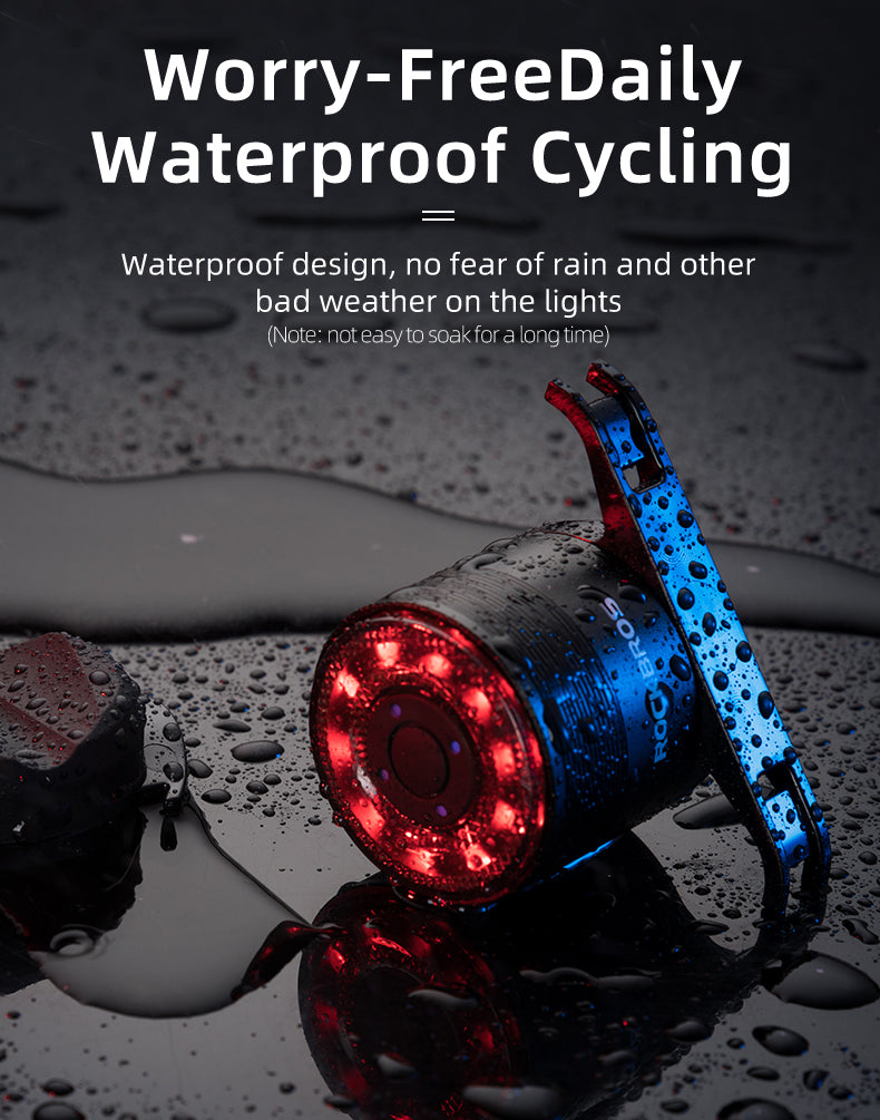ROCKBROS Multiple Color Bike Tail Light Q1