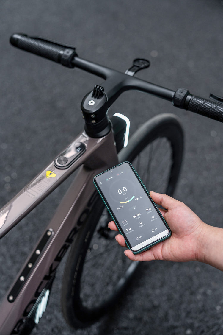 ROCKBROS FTR Lithium Electric Bike 700C