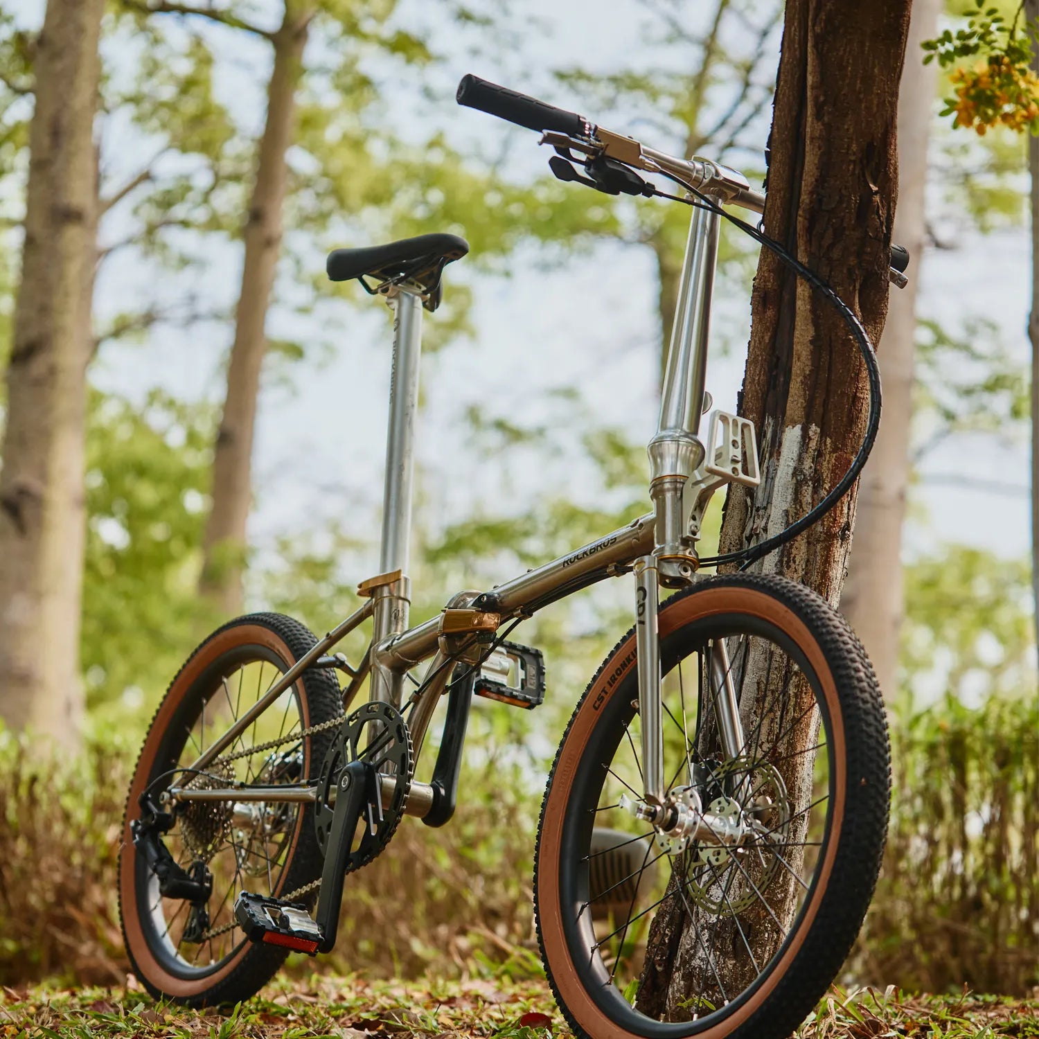 Side profile of the Rockbros Garvis 20 inch folding bike, showcasing the slim 4130 chromoly frame and 9-speed setup.