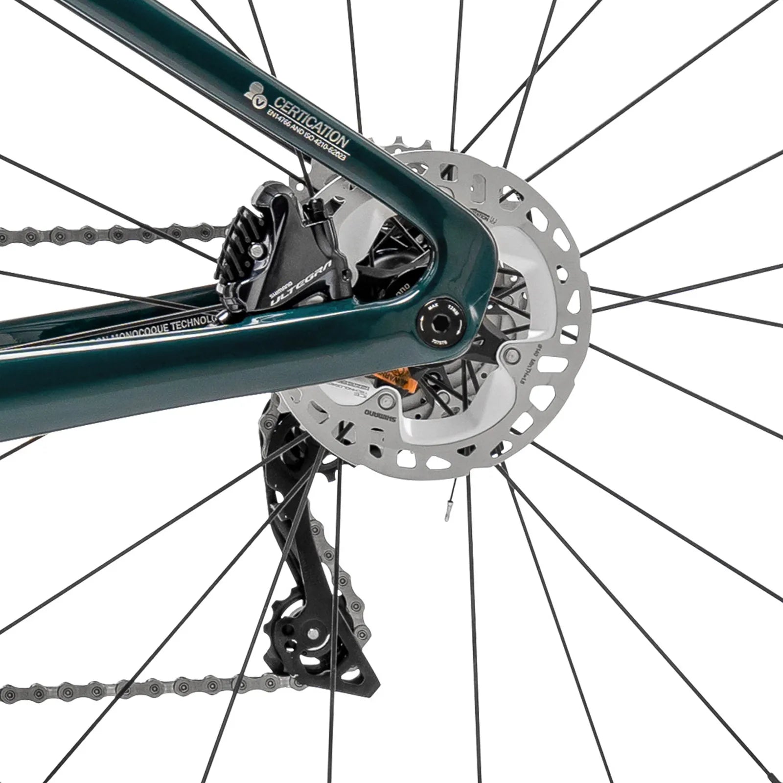 PGZ Carbon Fiber Road Bike Blue/Green