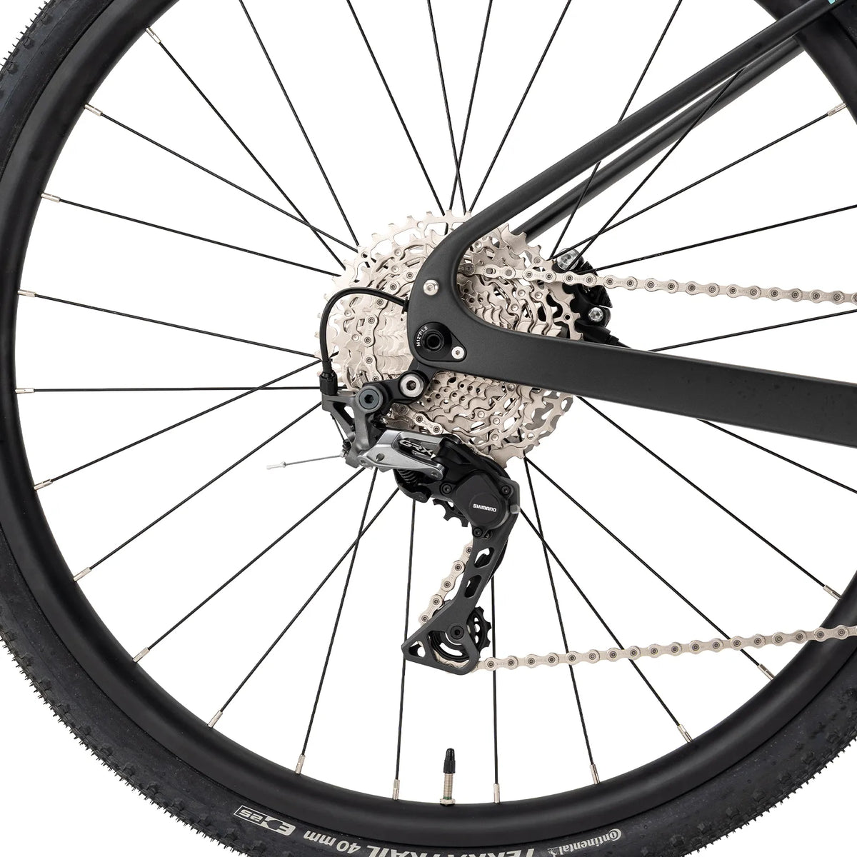 RockBros WLD Terra Carbon gravel bike.
#colour_light green